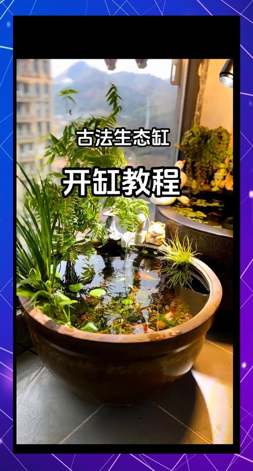 新鱼缸开缸养水的正确方法(清洗预处理分层底砂三件套) 新鱼缸开缸养水的正确方法(清洗预处理分层底砂三件套)