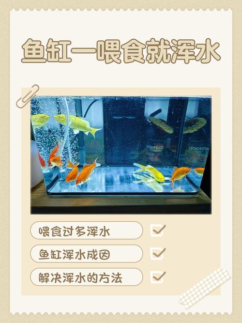 养鱼水浑浊怎么解决（滤材清洗控喂监测与记录）