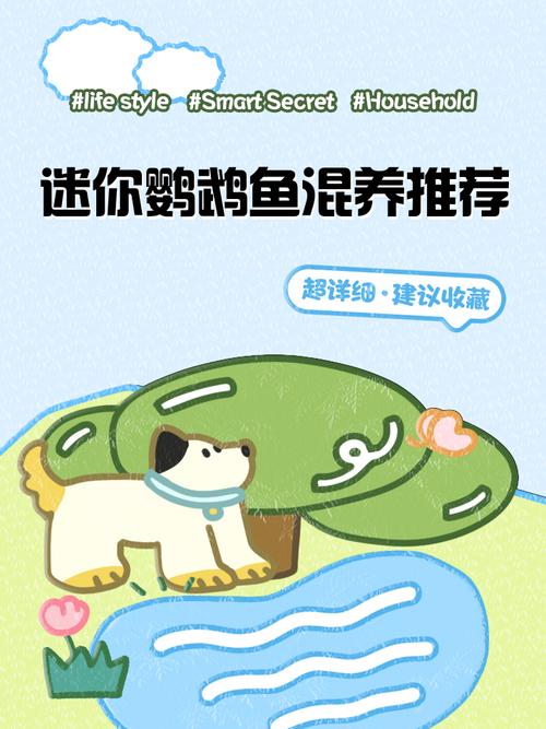 迷你鹦鹉小鱼仔怎么养（分区隔离稳定喂养与水质温控的鱼缸繁殖要点）