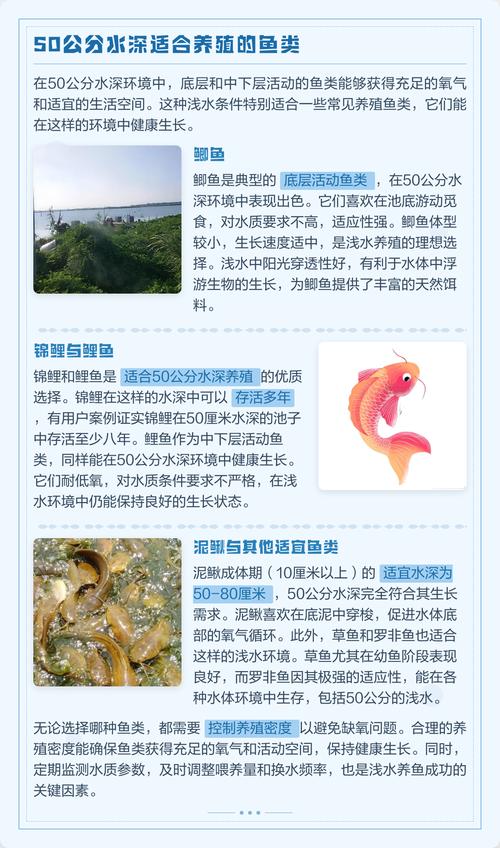 水深有50公分鱼可以过冬吗(北方2.5到3米,南方2米左右)