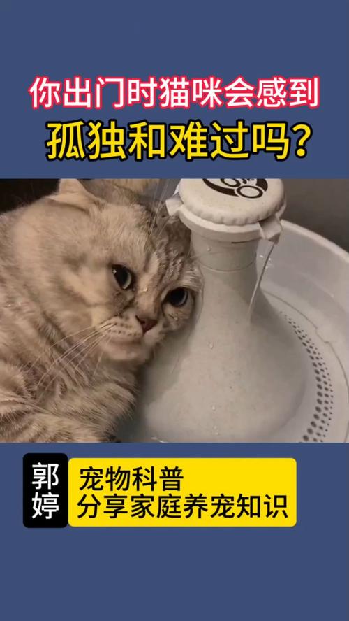 猫长期一个人在家会抑郁吗（猫咪独处易抑郁？日常互动与环境布置要点）