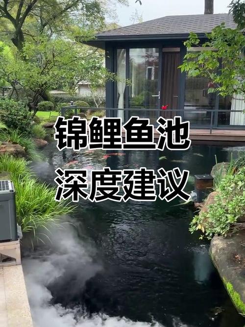 养鱼池水深多少合适（水深2.5-3米是养鱼黄金深度，分层养殖与季节调水要点）