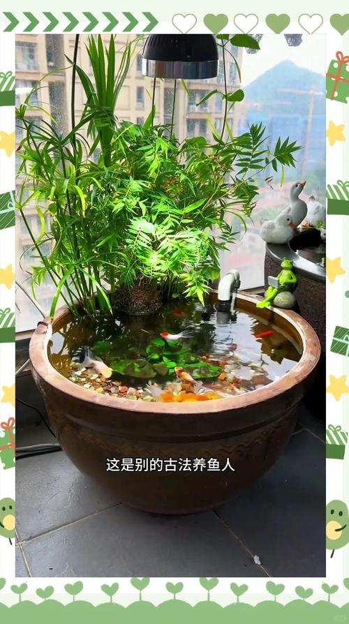 圆缸养鱼都活不久吗（圆缸养金鱼的利弊与长方缸养护要点）