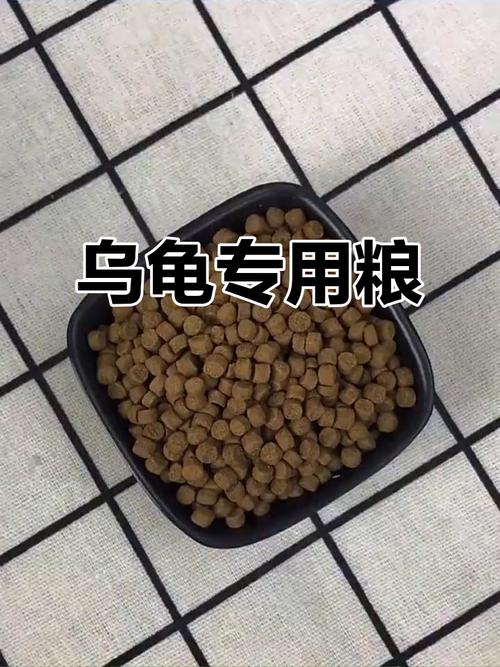 猪鼻龟幼龟吃什么(幼龟高蛋白,成龟以蔬果为主) 猪鼻龟幼龟吃什么(幼龟高蛋白,成龟以蔬果为主)