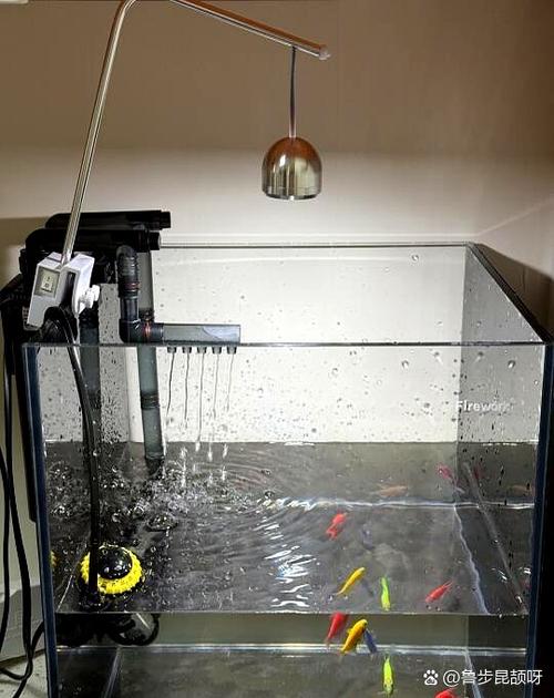 热弯玻璃鱼缸好不好(美感安全与预算怎么选) 热弯玻璃鱼缸好不好(美感安全与预算怎么选)