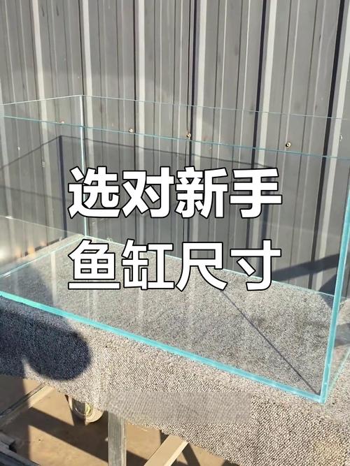 鱼缸大小与养鱼数量的关系（容量氧气过滤全掌控）