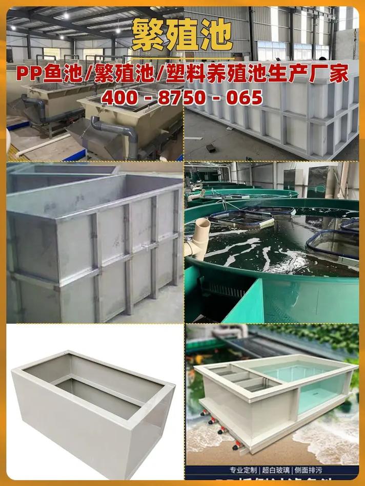 鱼池刷防水涂料要养多少天放鱼(放鱼前看涂料固化时间控温控湿闭水试验合格再放鱼)