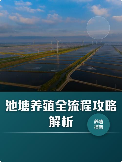 苏州鱼塘冬季可以投喂饲料吗（苏州冬季养鱼水温喂食要点少量多餐稳水质）