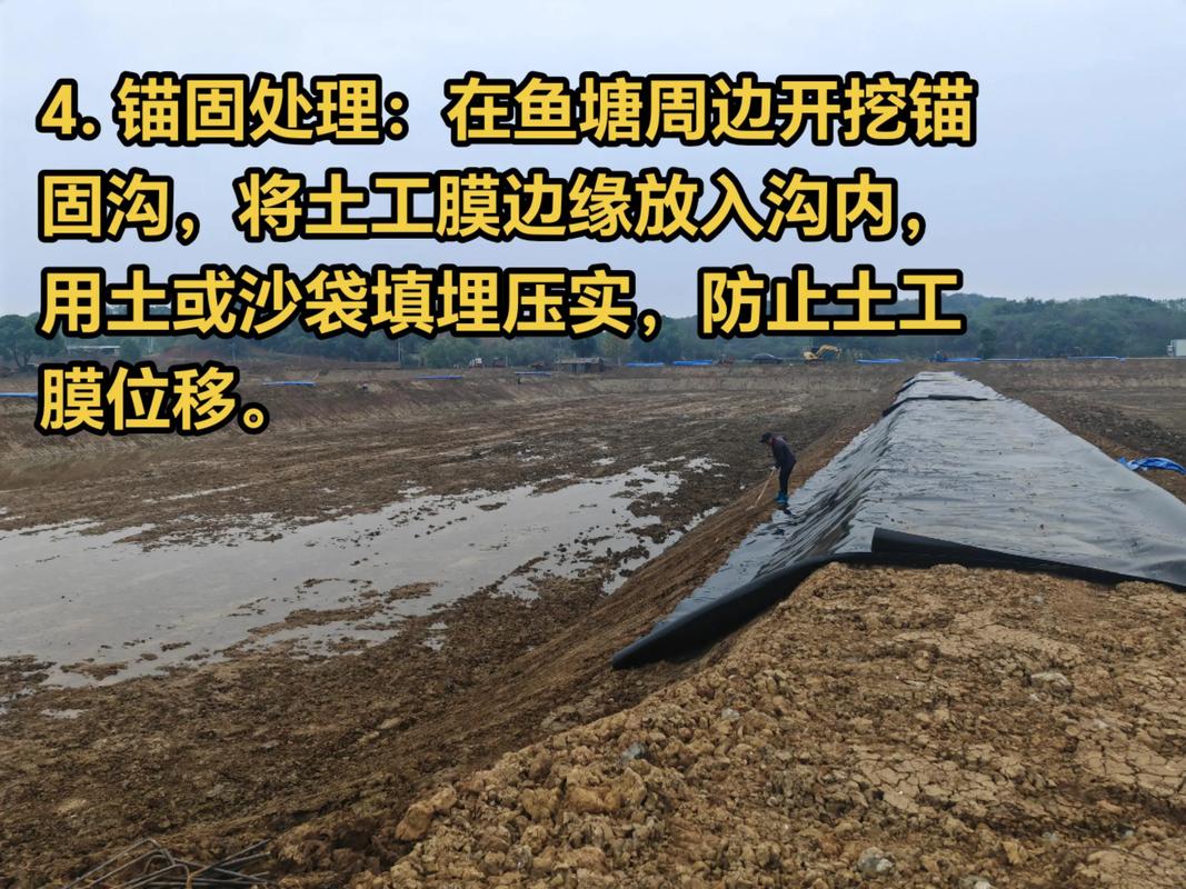 鱼塘底部用水泥还是用土工膜（鱼塘底部膜材优劣成本与维护要点）