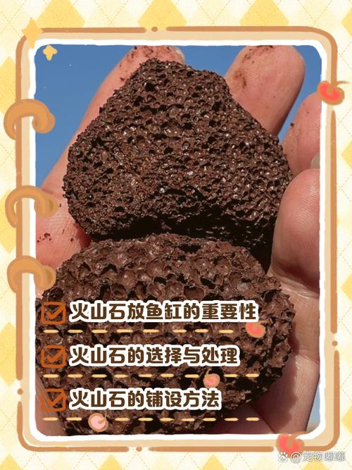 鱼缸建议放火山石吗（天然过滤与装饰要点）