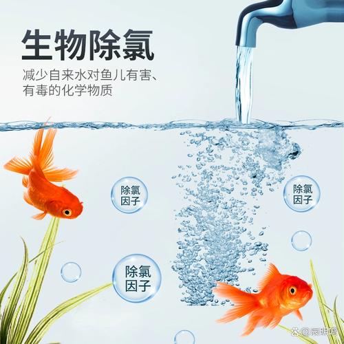 怎样用自来水养鱼（自来水去氯换水要点与控温记水质日记）