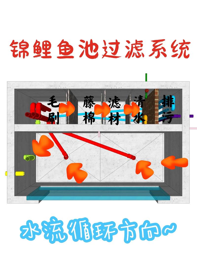鱼池养鱼前怎么处理（新池养鱼前清单消毒脱碱养水控藻分步放鱼）