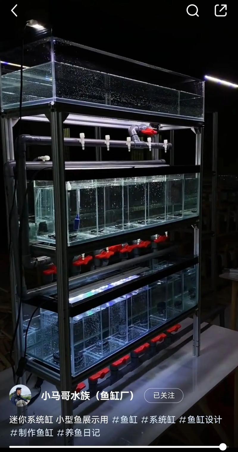 鱼缸自动循环水系统制作（水泵匹配分层过滤隐蔽管道与低成本方案）