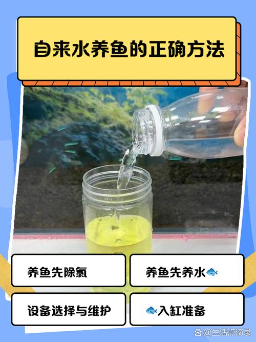 纯净水养鱼的好处（纯净水优缺点及补矿增氧的水质管理要点）