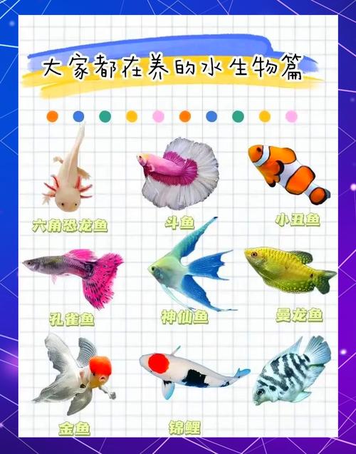 鱼类生长速度对照表(锦鲤成长曲线与养护要点及提升策略) 鱼类生长速度对照表(锦鲤成长曲线与养护要点及提升策略)