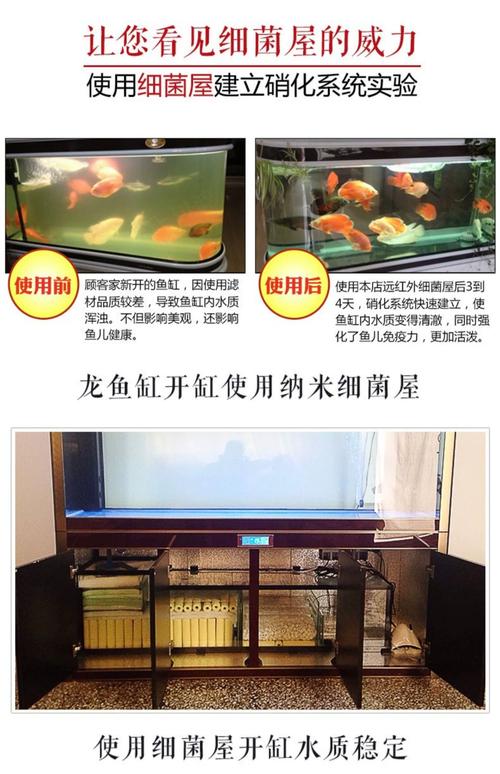 陶瓷环放鱼缸里有用吗（陶瓷环生物过滤材，促硝化稳定水质）