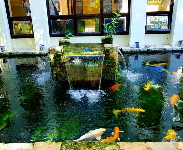 自建小型鱼池30平方米（30平米庭院鱼池设计与成本实用景观水景）