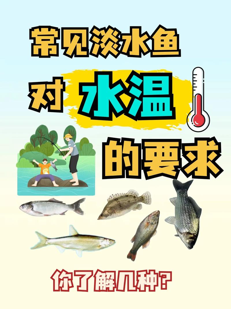 白鲢鱼塘冬季要加温吗(水温16至20℃低密度养殖与喂养策略)