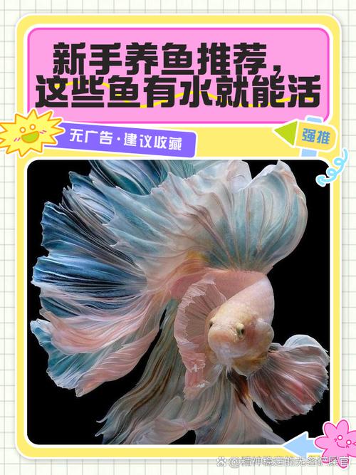 鱼只喝水能活多久(鱼能活多久靠氧气温度水质与换水,别信只喝水) 鱼只喝水能活多久(鱼能活多久靠氧气温度水质与换水,别信只喝水)