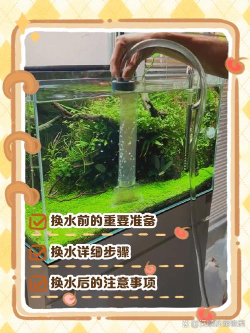 用鱼缸养鱼一般多久换一次水（换水节奏看缸容量密度日常检查表五步法）