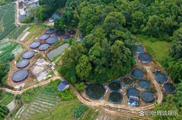 山泉水能直接养鱼吗（基线测试增氧与稳态平衡）