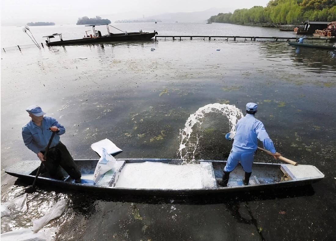 有鱼鱼塘如何泼洒石灰(用量时机泼洒与监测) 有鱼鱼塘如何泼洒石灰(用量时机泼洒与监测)