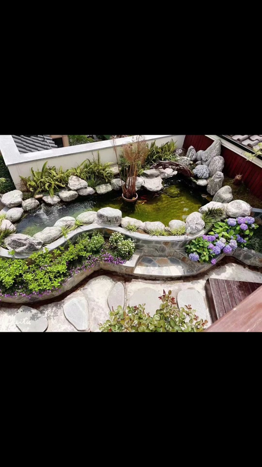 1平米楼顶鱼池养鱼方法（屋顶鱼菜共生养鱼要点遮光透气定期换水防护）