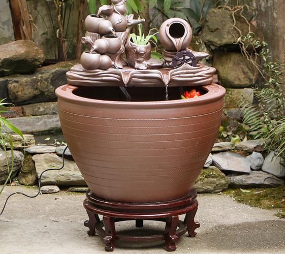 陶瓷缸养什么小鱼好（陶瓷缸观赏鱼养护要点选鱼控温换水布局）