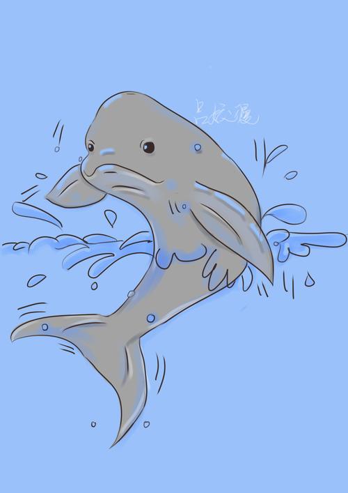 小熊猫鱼鱼尾缩怎么回事(尾鳍缩小原因与护理要点) 小熊猫鱼鱼尾缩怎么回事(尾鳍缩小原因与护理要点)