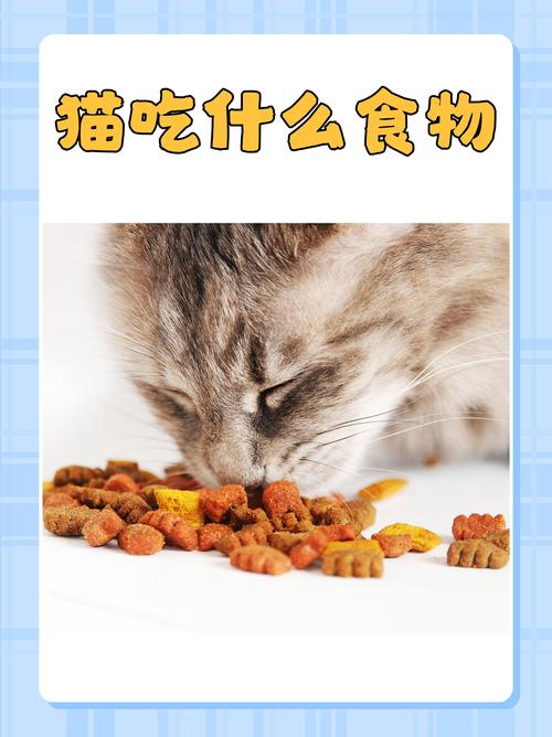 猫为何尽量少吃鸡胸肉（鸡胸肉蛋白虽高但缺牛磺酸等，主粮70辅食30轮换清煮喂养）