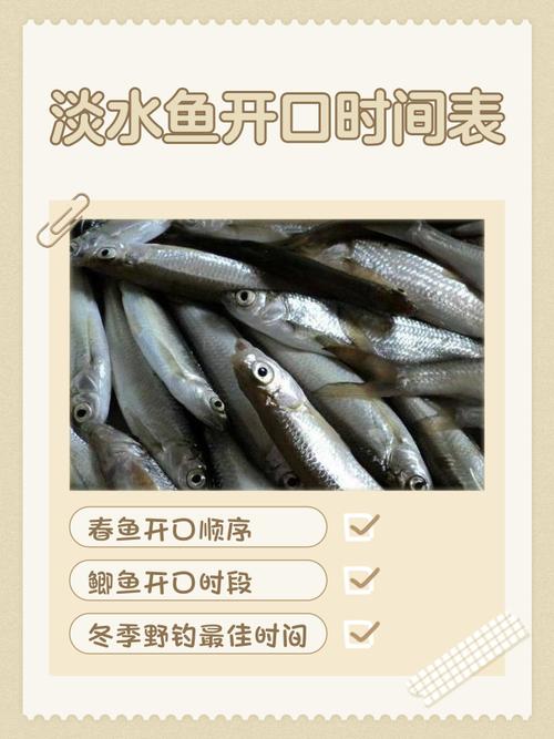 鱼塘里的鱼不喂食可以活多久(海水鱼耐饿比淡水强?断喂风险与家用喂养要点)