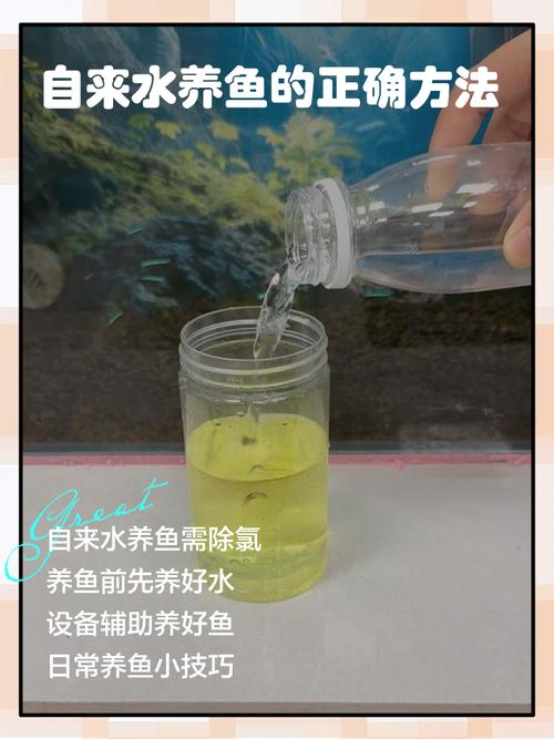 不流动的水可以养鱼吗(静水养鱼要点控水量温度光照与换水) 不流动的水可以养鱼吗(静水养鱼要点控水量温度光照与换水)