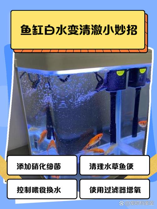 鱼缸使用方法（清洁分层底砂控温光照）