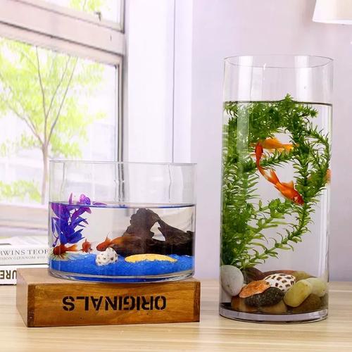 圆柱形鱼缸图片大全图（静水压分散环形承载光路连贯美观安全）