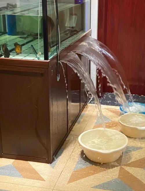 鱼缸水换一天就浑浊（新缸浑水怎么降？换水控喂稳循环要点）