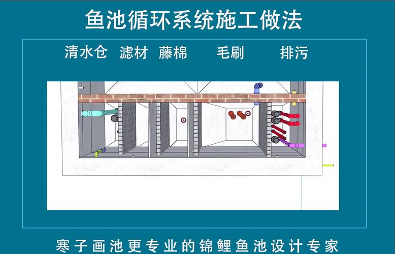 鱼池循环水管安装图（自家院子60平方米鱼池五仓循环与过滤要点）