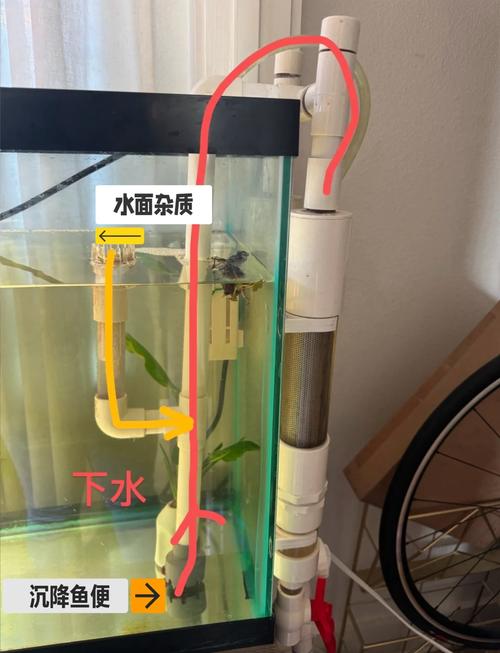 鱼缸循环泵上不来水(养鱼水泵不出水怎么办排查供电管路叶轮自吸)