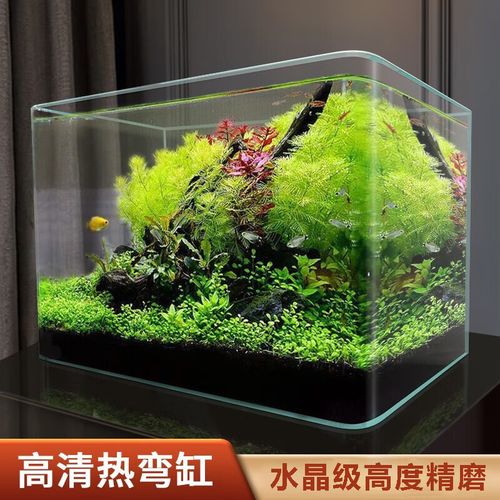 浮法玻璃热弯鱼缸会爆裂吗（选购玻璃要看厚度证书承重与售后，别只看外观）