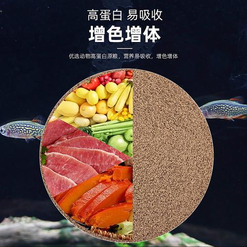 斑马鱼吃什么饲料（蛋白≥35%粒径0.5–1mm分区喂食）