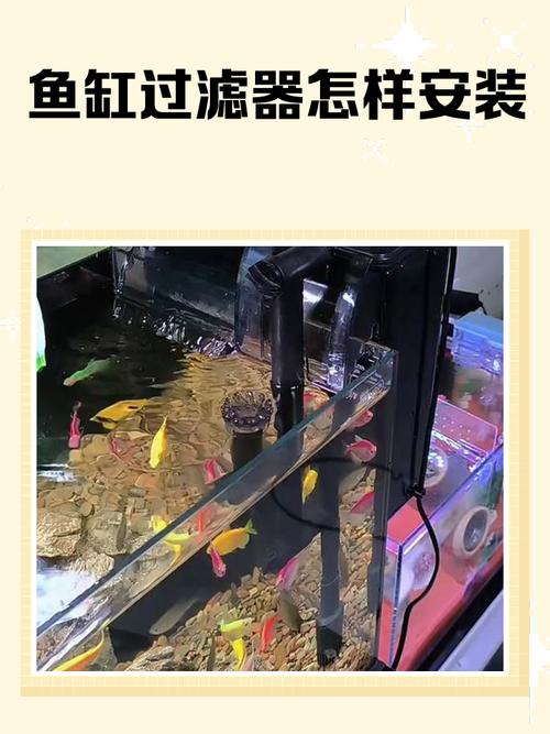 鱼缸无电过滤器制作图解（废瓶日用品自制小型生化层）