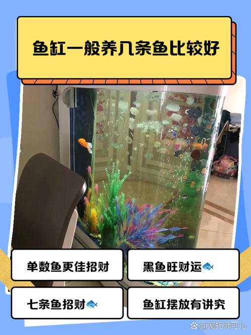60缸能养多少条鱼(60升鱼缸养鱼量并非固定取决于水质与过滤) 60缸能养多少条鱼(60升鱼缸养鱼量并非固定取决于水质与过滤)