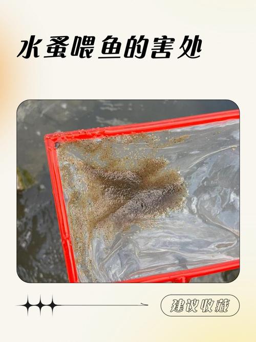 人粪能直接喂鱼池鱼吗(发酵监测替代方案) 人粪能直接喂鱼池鱼吗(发酵监测替代方案)