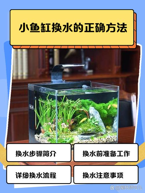 鱼池为什么水要一直开着（鱼池水泵应否全天运转？按水质与季节定制节能方案）