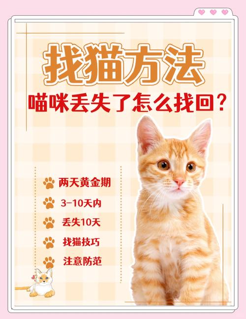 小猫跑丢了怎么找回来（走丢猫咪找寻要点前12小时在家附近再扩至小区）