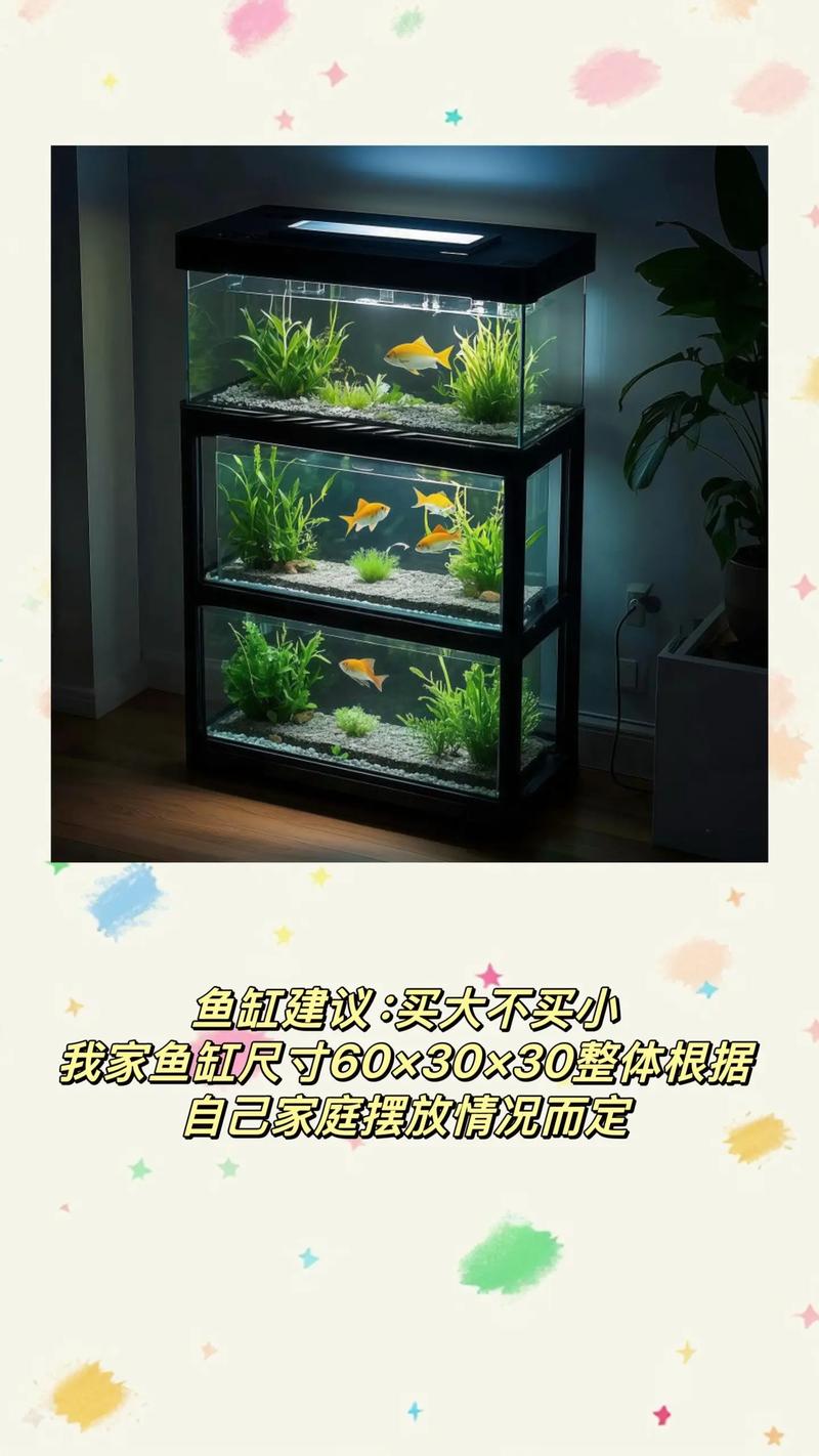 小鱼缸养什么鱼好养活（小缸养鱼要点耐混养品种孔雀鱼斑马鱼定期换水）