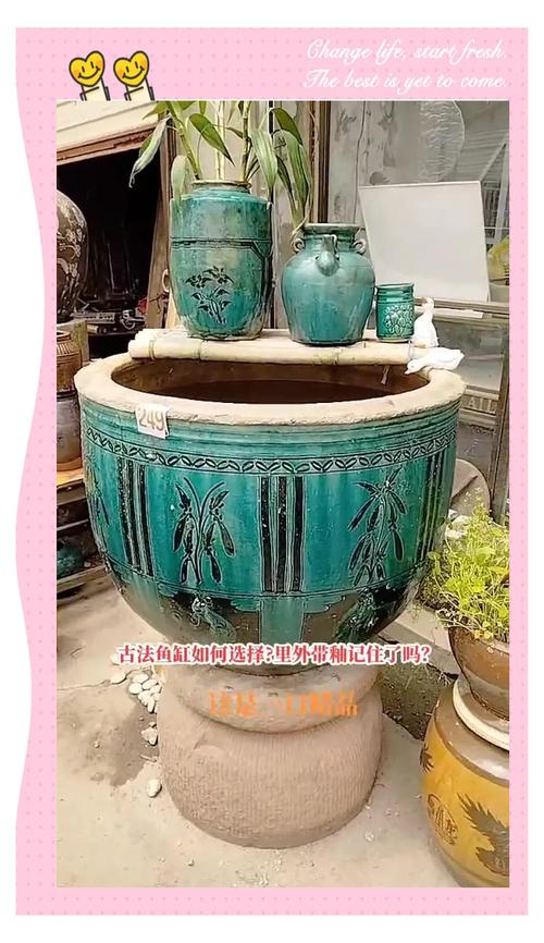 水缸古法养鱼详细步骤（古法养鱼自然调温慢养成就水草生态）