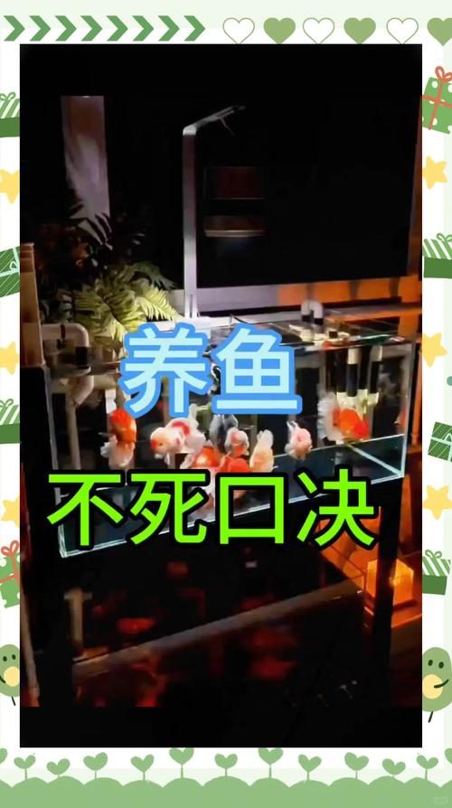 养冷水鱼不死的小窍门（耐寒品种+简易设备）