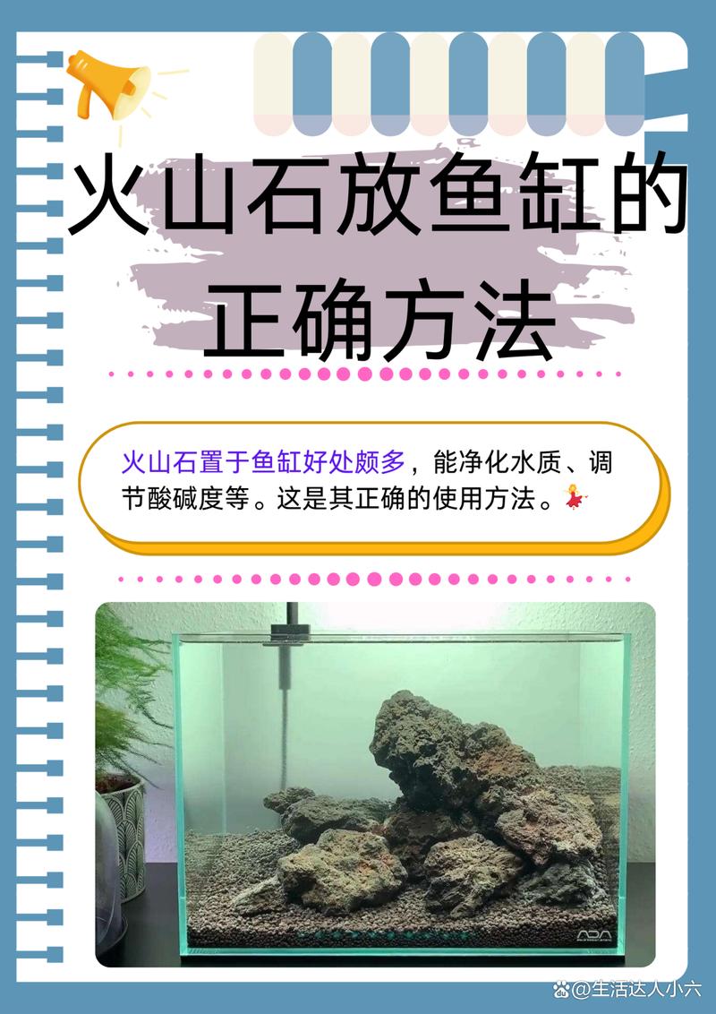 鱼缸里为什么不建议放火山石（谨慎使用火山石养鱼需清洗煮消毒并控水质）