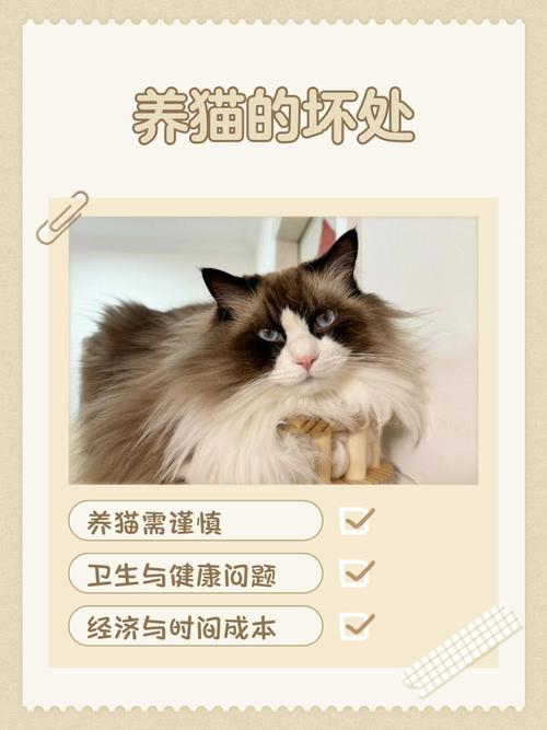 猫会被人养吗（猫愿不愿被养靠性格成长环境与照料）