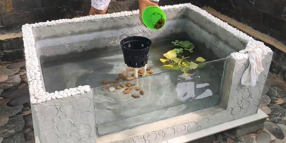 水泥池要泡多久才能养鱼（新建水泥池放鱼脱碱消毒分步养水4周黄金流程）